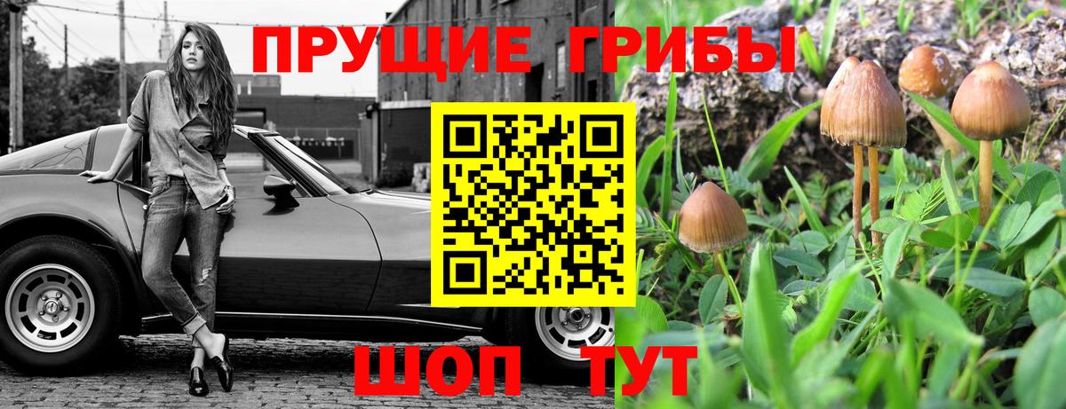 Тобольск  Галлюциногенные грибы MAGIC MUSHROOMS  где купить наркоту  Псилоцибиновые грибы мицелий  Вход с VPN 